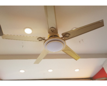 Quạt trần đèn DQHN-52- 8008 MÀU VÀNG