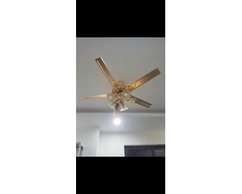 Quạt trần đèn DQHN-52- 8012