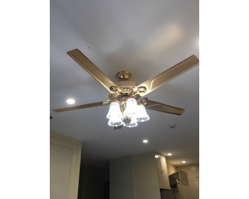 Đèn quạt DQHN-52- 8013