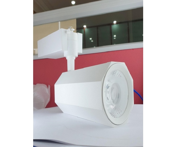   Đèn Led Downlight Rọi Ray màu trắng 40W