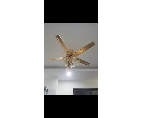 Quạt trần đèn DQHN-52- 8012